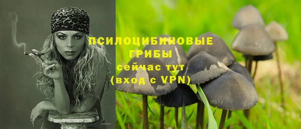 круглые Абаза
