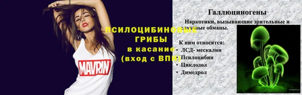 твердый Алексеевка