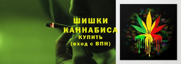 дмт Алексин