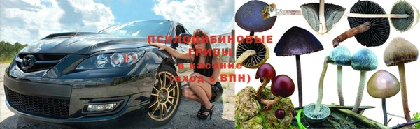 дмт Алексин